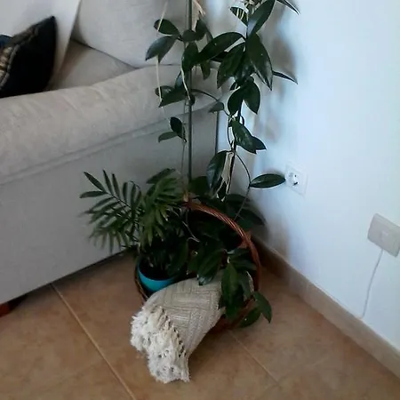 Homestay Quarto Torres Vedras